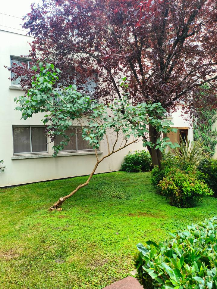 Bureau Paris 158m² Location bureau Paris OLBUR2424796 6